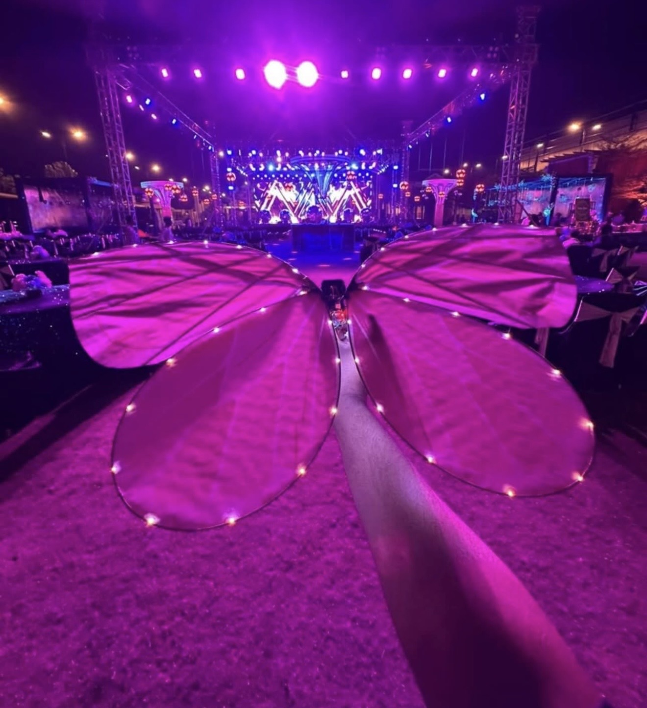 Mariposa LED Radiocontrol para Eventos y Bodas